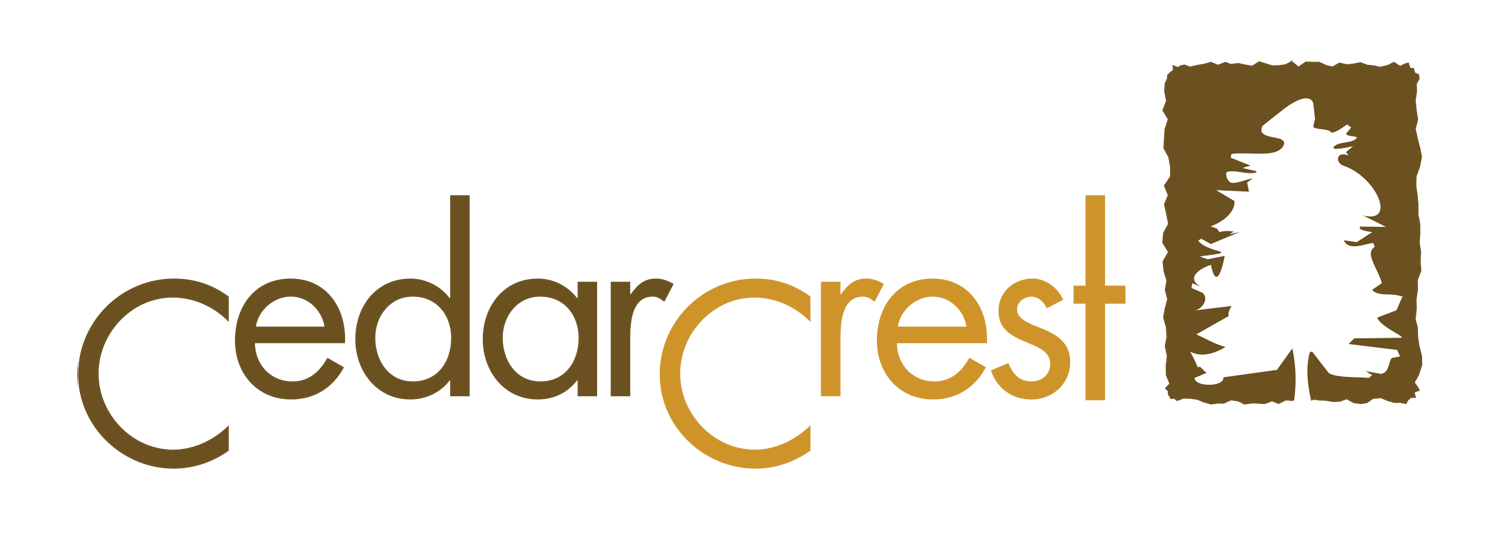 Cedar Crest Taguig Official DMCI Homes