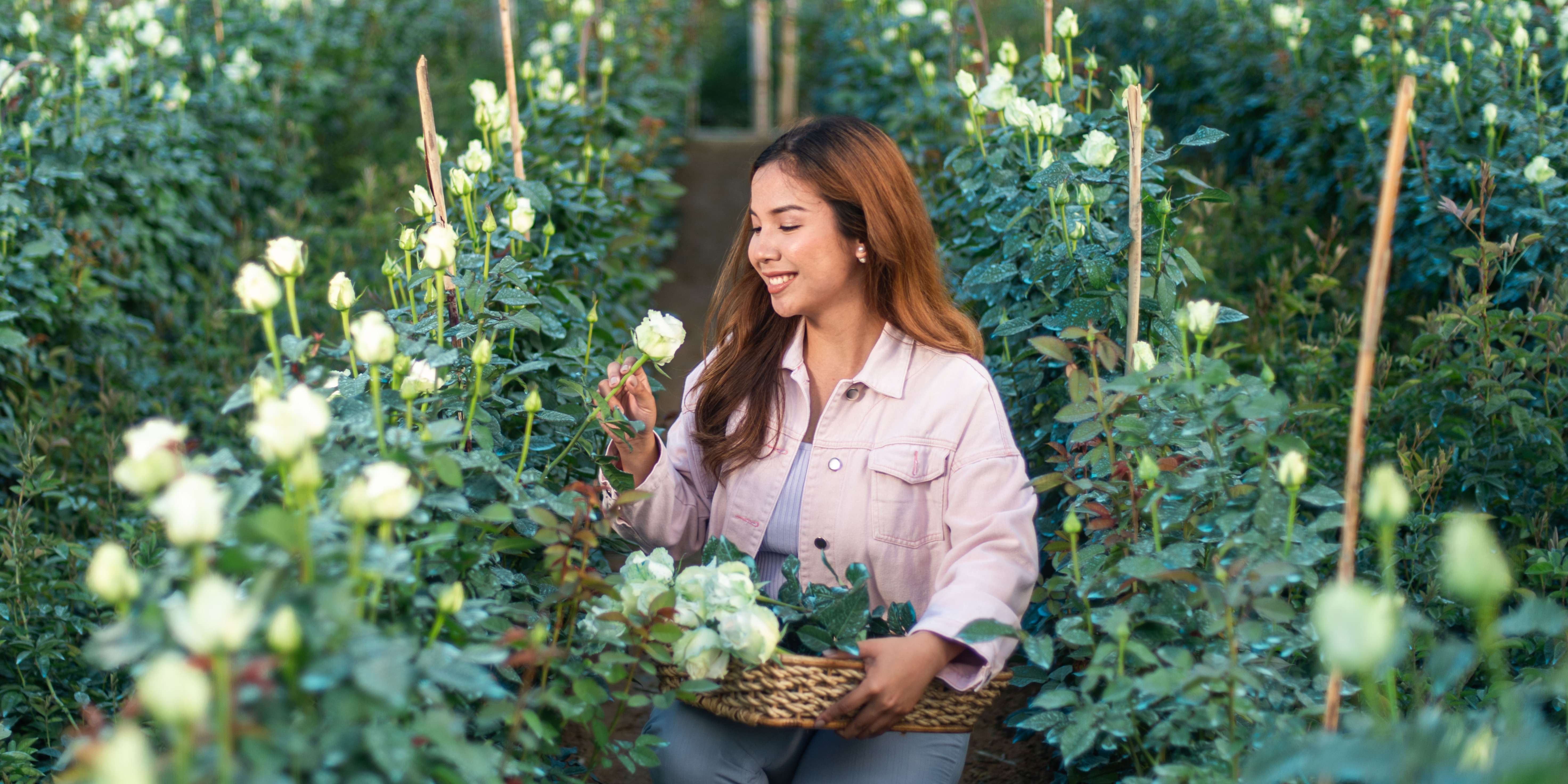 DMCI Homes introduces exclusive perks for condotel investors