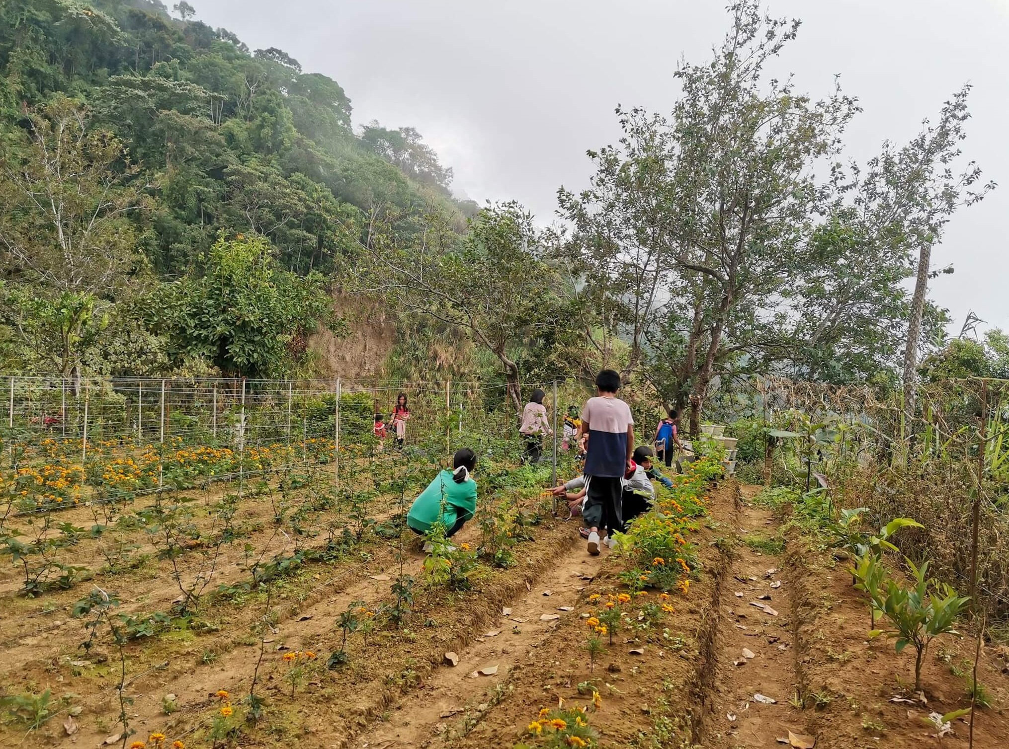 Why Tuba, Benguet is a Top Choice for Quality Living