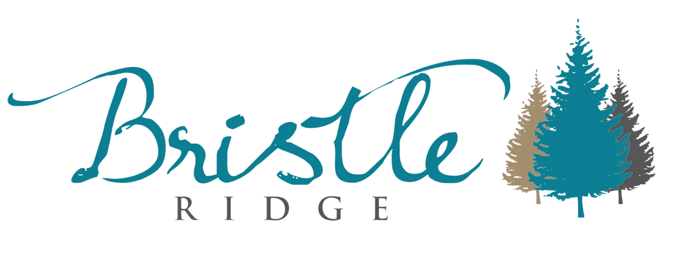 Bristle Ridge - Baguio City Logo
